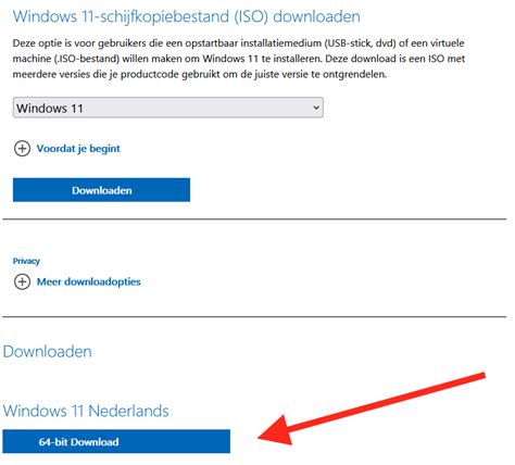 phfun.11|windows 11 gratis downloaden nederlands.